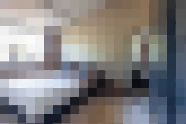 Old Ruitenborgh 13 Hengelo thumbnail 26