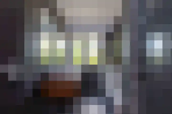 Old Ruitenborgh 13 Hengelo thumbnail 27