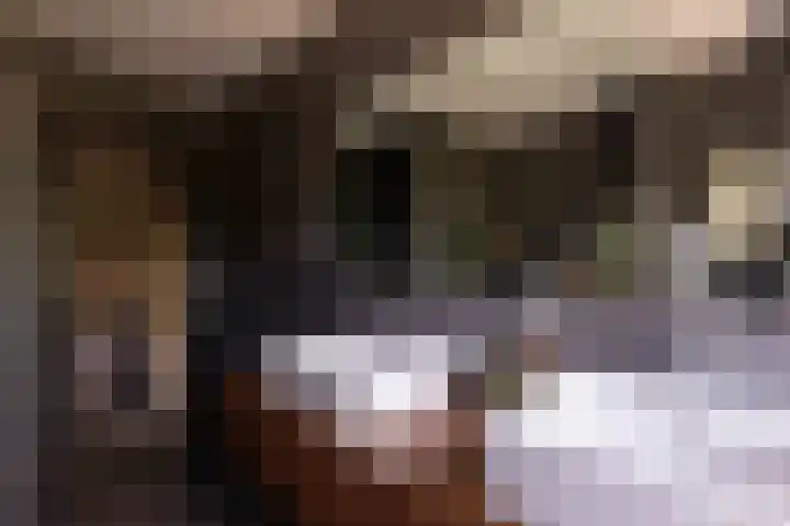 Old Ruitenborgh 13 Hengelo thumbnail 28