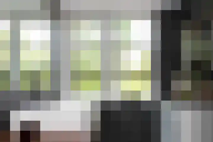 Old Ruitenborgh 13 Hengelo thumbnail 29