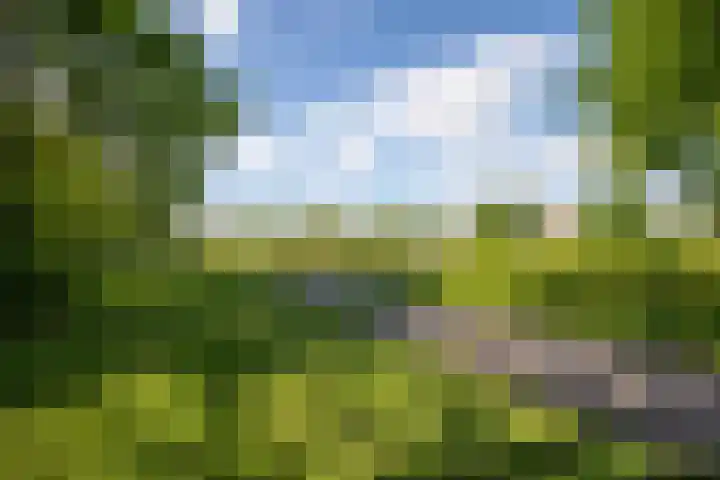 Old Ruitenborgh 13 Hengelo thumbnail 31