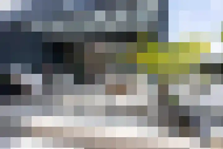 Old Ruitenborgh 13 Hengelo thumbnail 4