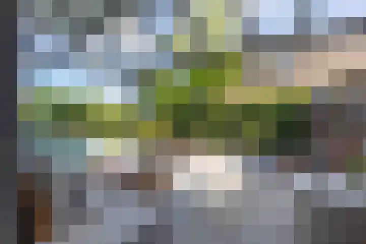 Old Ruitenborgh 13 Hengelo thumbnail 5