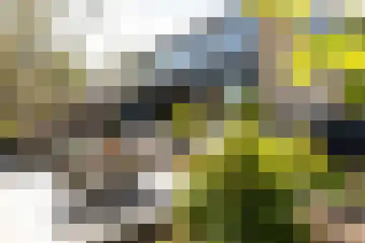 Old Ruitenborgh 13 Hengelo thumbnail 6