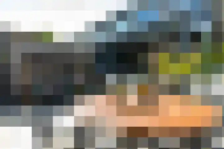 Old Ruitenborgh 13 Hengelo thumbnail 7