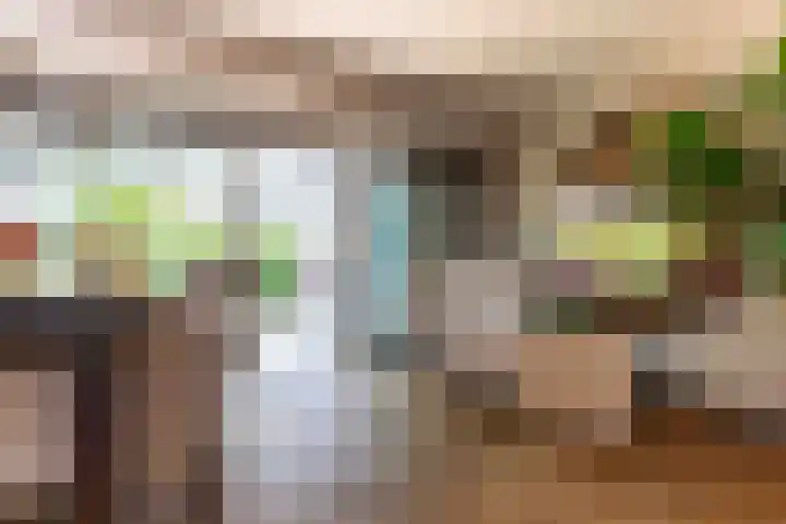 Old Ruitenborgh 13 Hengelo thumbnail 8