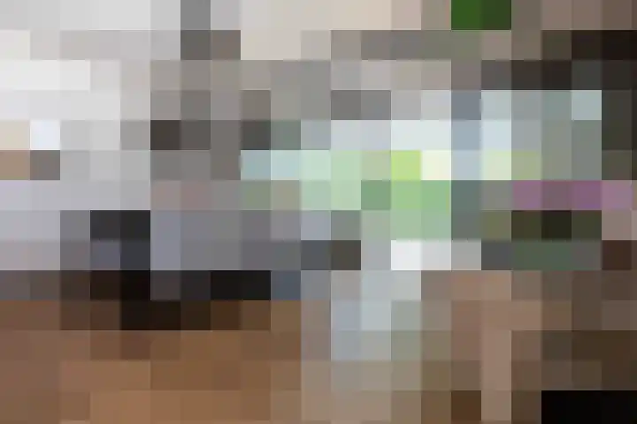 Old Ruitenborgh 13 Hengelo thumbnail 9