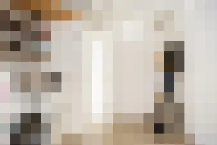 Old Ruitenborgh 15 Hengelo thumbnail 11