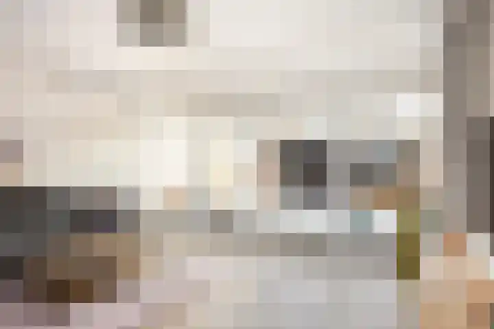 Old Ruitenborgh 15 Hengelo thumbnail 13