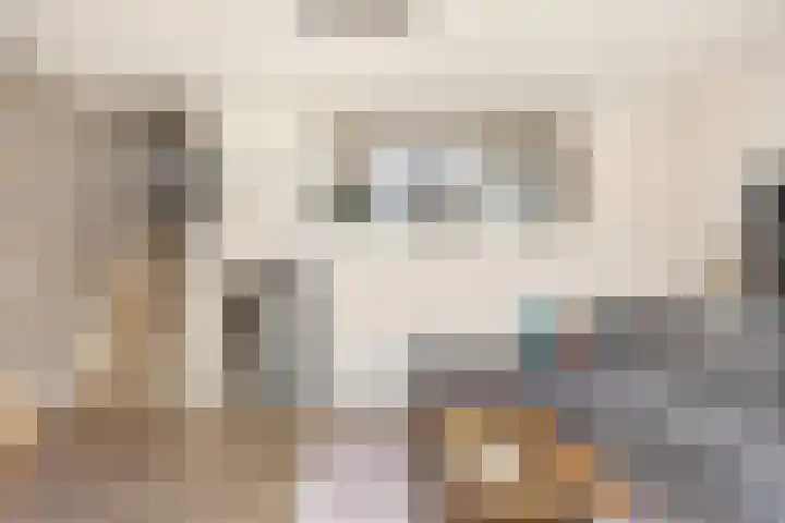 Old Ruitenborgh 15 Hengelo thumbnail 15