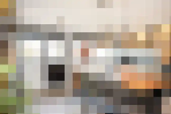 Old Ruitenborgh 15 Hengelo thumbnail 16