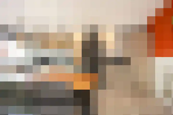 Old Ruitenborgh 15 Hengelo thumbnail 17