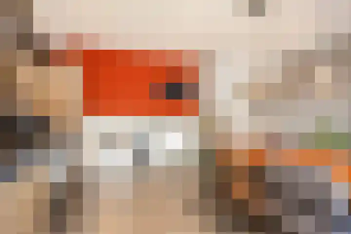 Old Ruitenborgh 15 Hengelo thumbnail 19