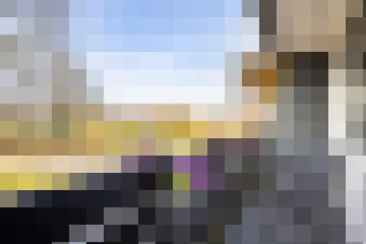 Old Ruitenborgh 15 Hengelo thumbnail 20