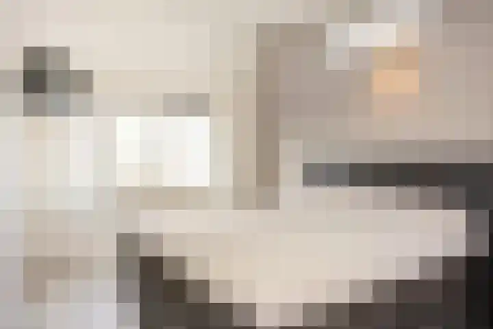 Old Ruitenborgh 15 Hengelo thumbnail 23