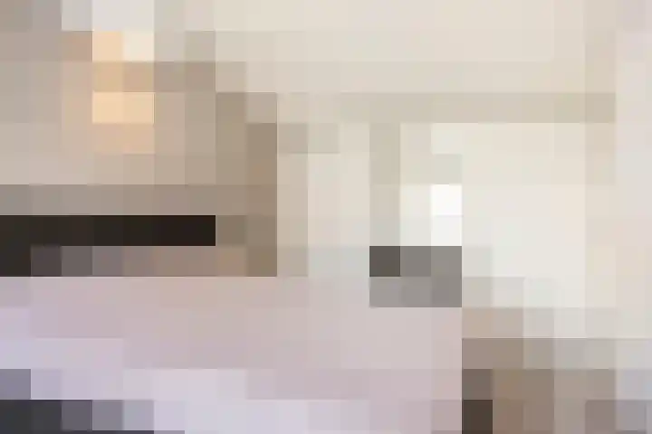 Old Ruitenborgh 15 Hengelo thumbnail 24