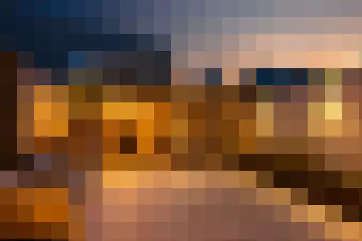 Old Ruitenborgh 15 Hengelo thumbnail 27