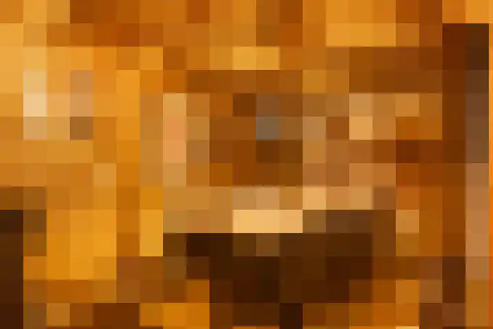 Old Ruitenborgh 15 Hengelo thumbnail 31