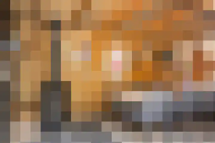 Old Ruitenborgh 15 Hengelo thumbnail 32