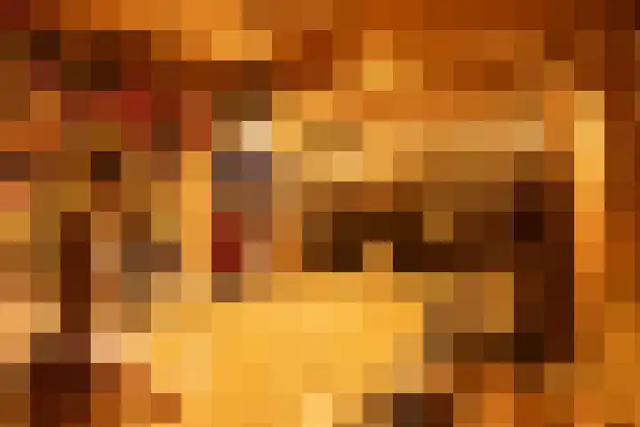 Old Ruitenborgh 15 Hengelo thumbnail 33