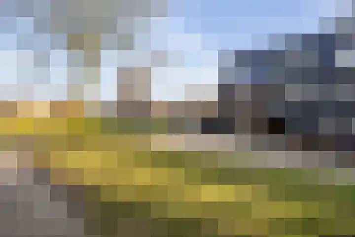 Old Ruitenborgh 15 Hengelo thumbnail 42