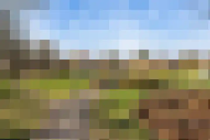 Old Ruitenborgh 15 Hengelo thumbnail 43