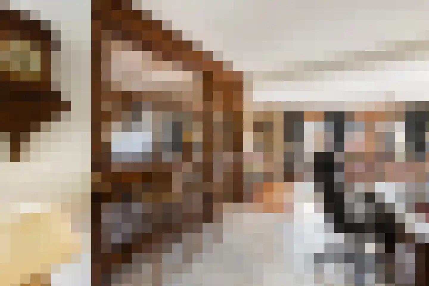 Old Ruitenborgh 20 Hengelo thumbnail 15