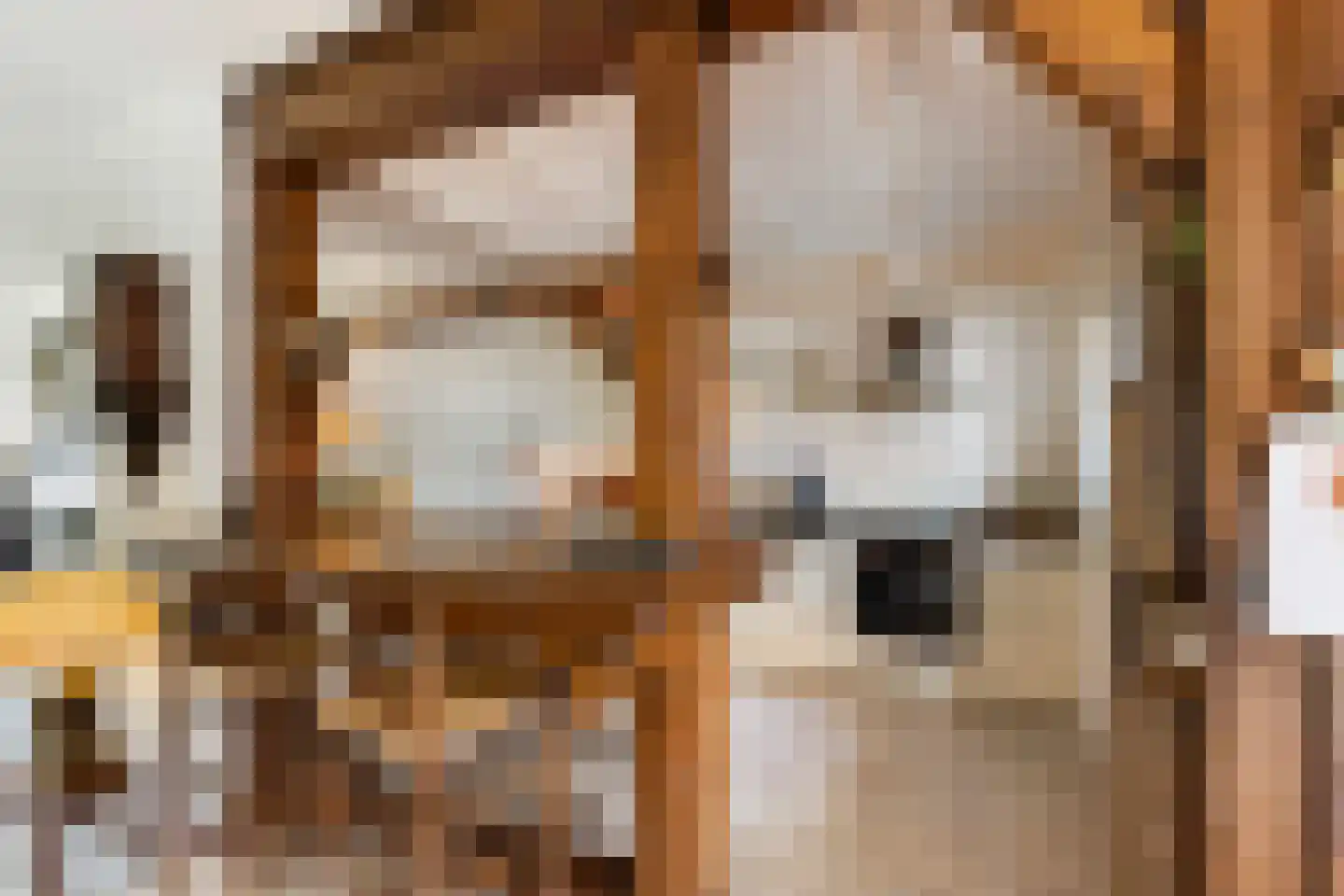 Old Ruitenborgh 20 Hengelo thumbnail 16