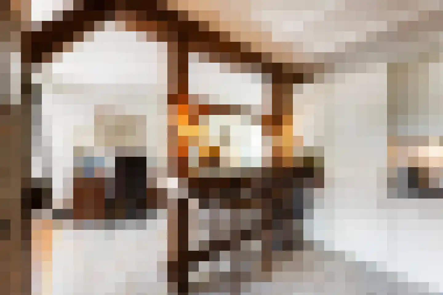 Old Ruitenborgh 20 Hengelo thumbnail 18