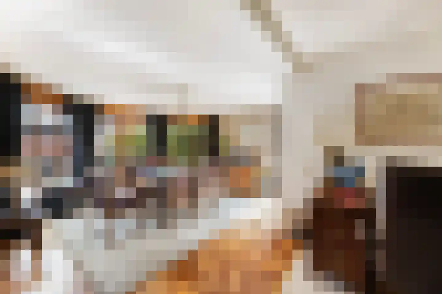 Old Ruitenborgh 20 Hengelo thumbnail 20