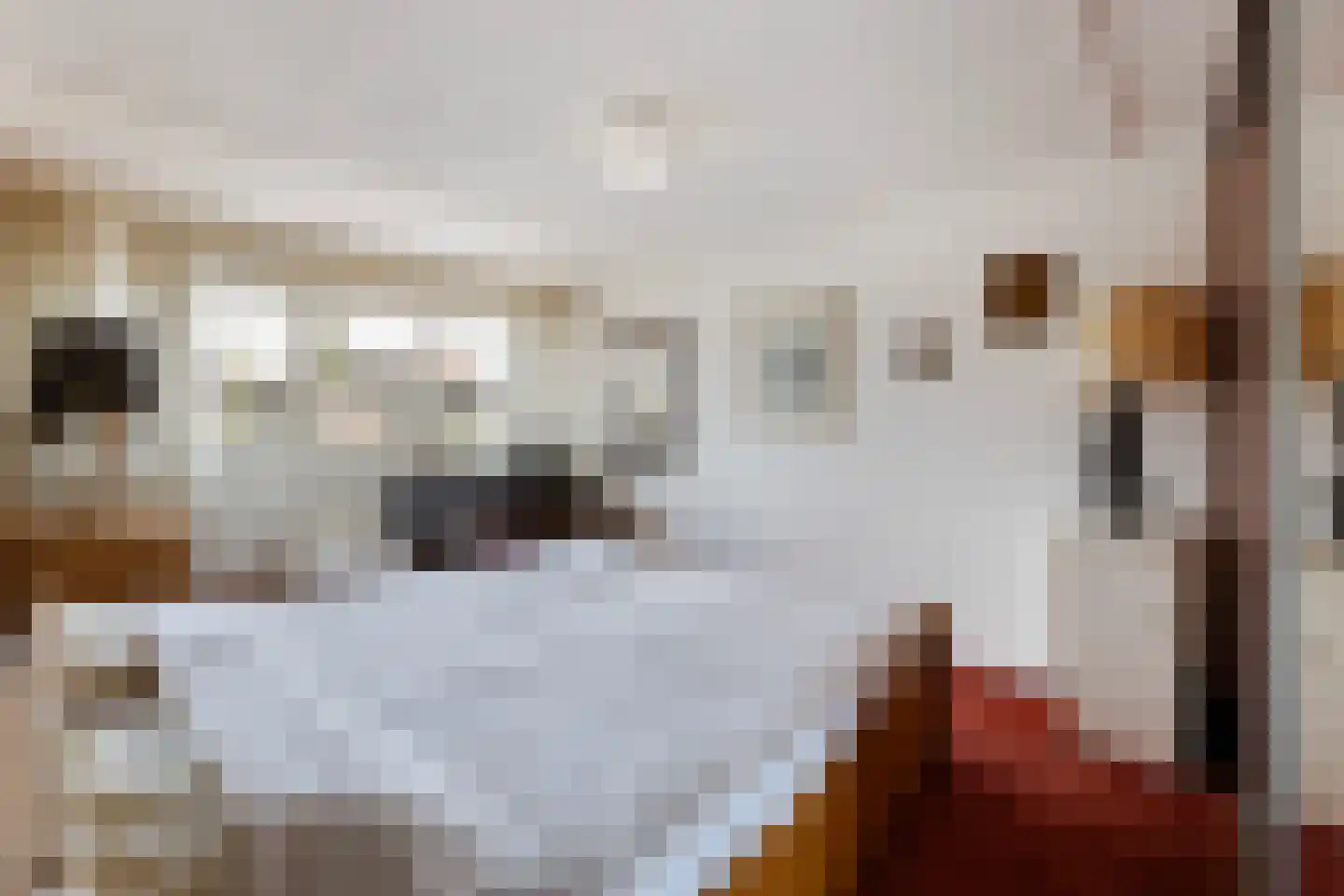 Old Ruitenborgh 20 Hengelo thumbnail 27