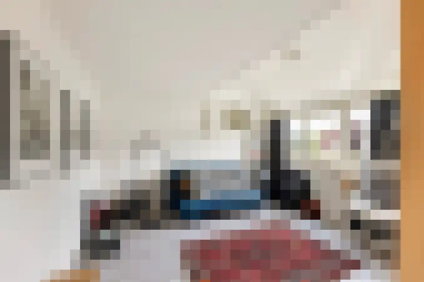 Old Ruitenborgh 20 Hengelo thumbnail 31
