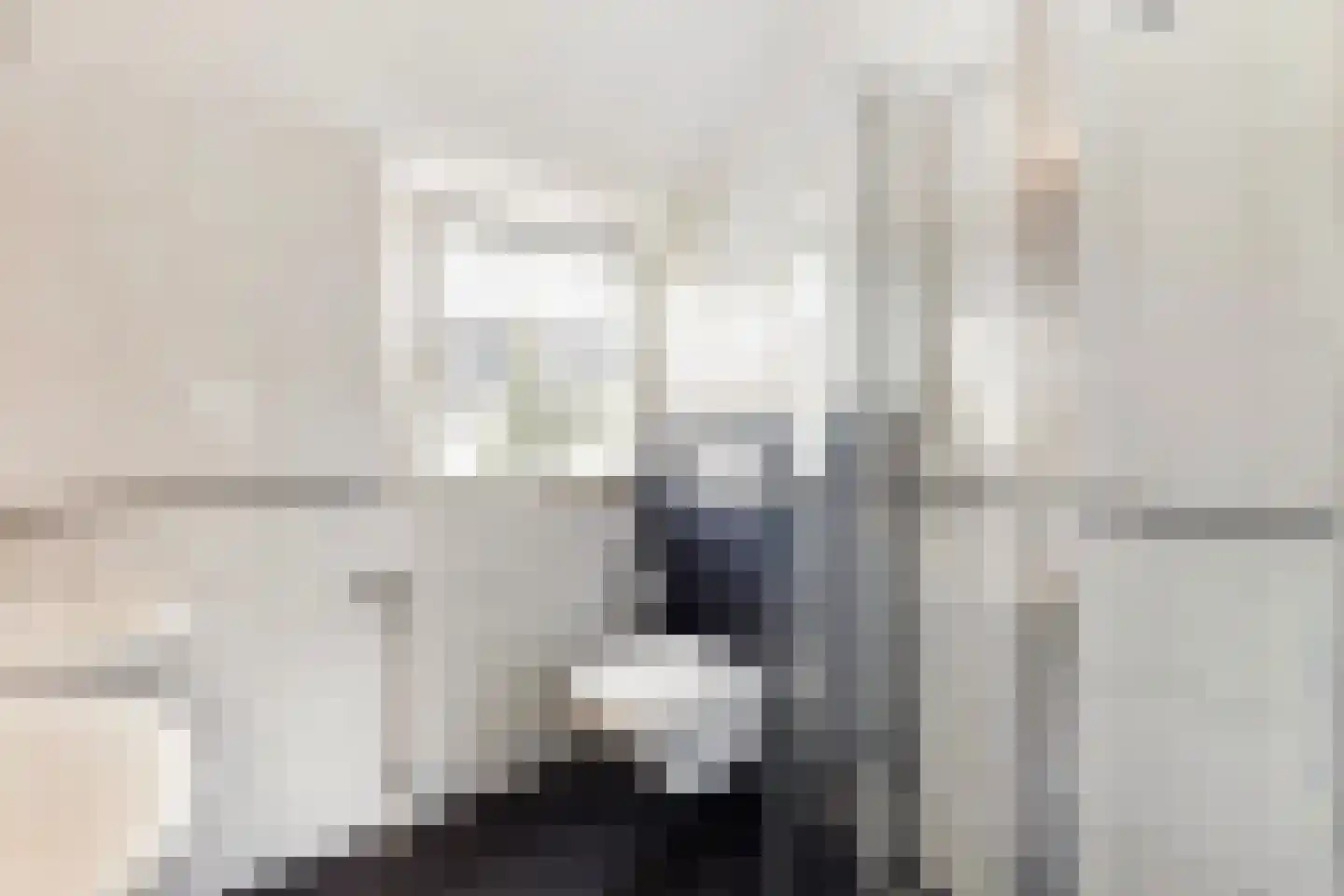 Old Ruitenborgh 20 Hengelo thumbnail 33