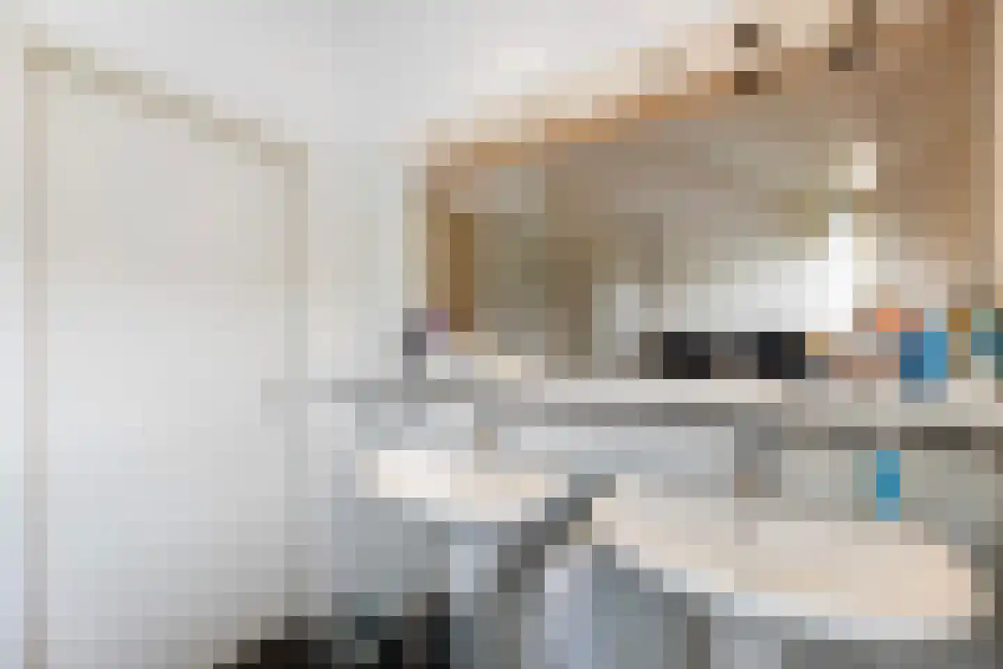 Old Ruitenborgh 20 Hengelo thumbnail 34