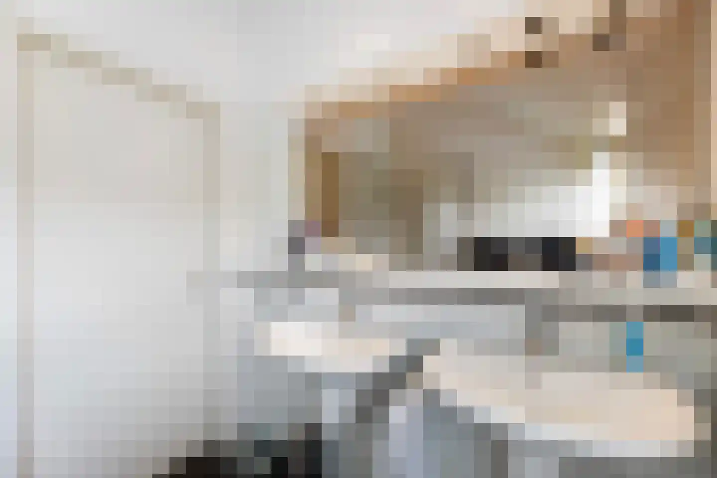 Old Ruitenborgh 20 Hengelo thumbnail 34