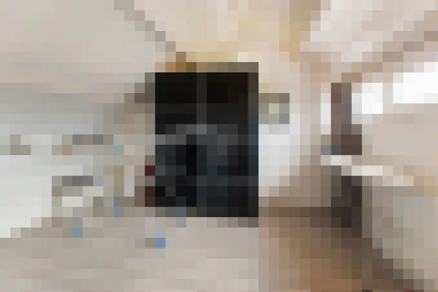 Old Ruitenborgh 20 Hengelo thumbnail 37