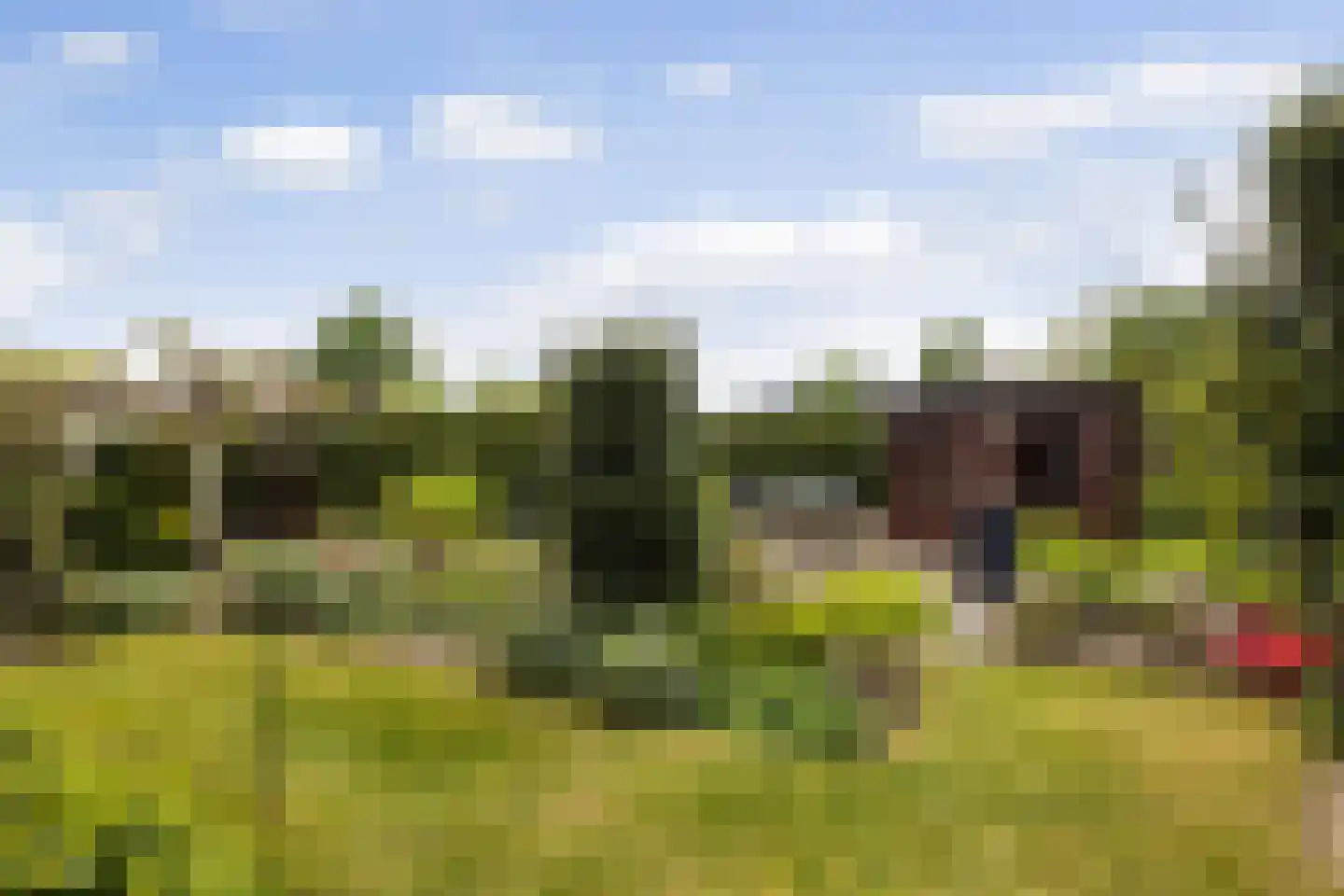 Old Ruitenborgh 20 Hengelo thumbnail 4