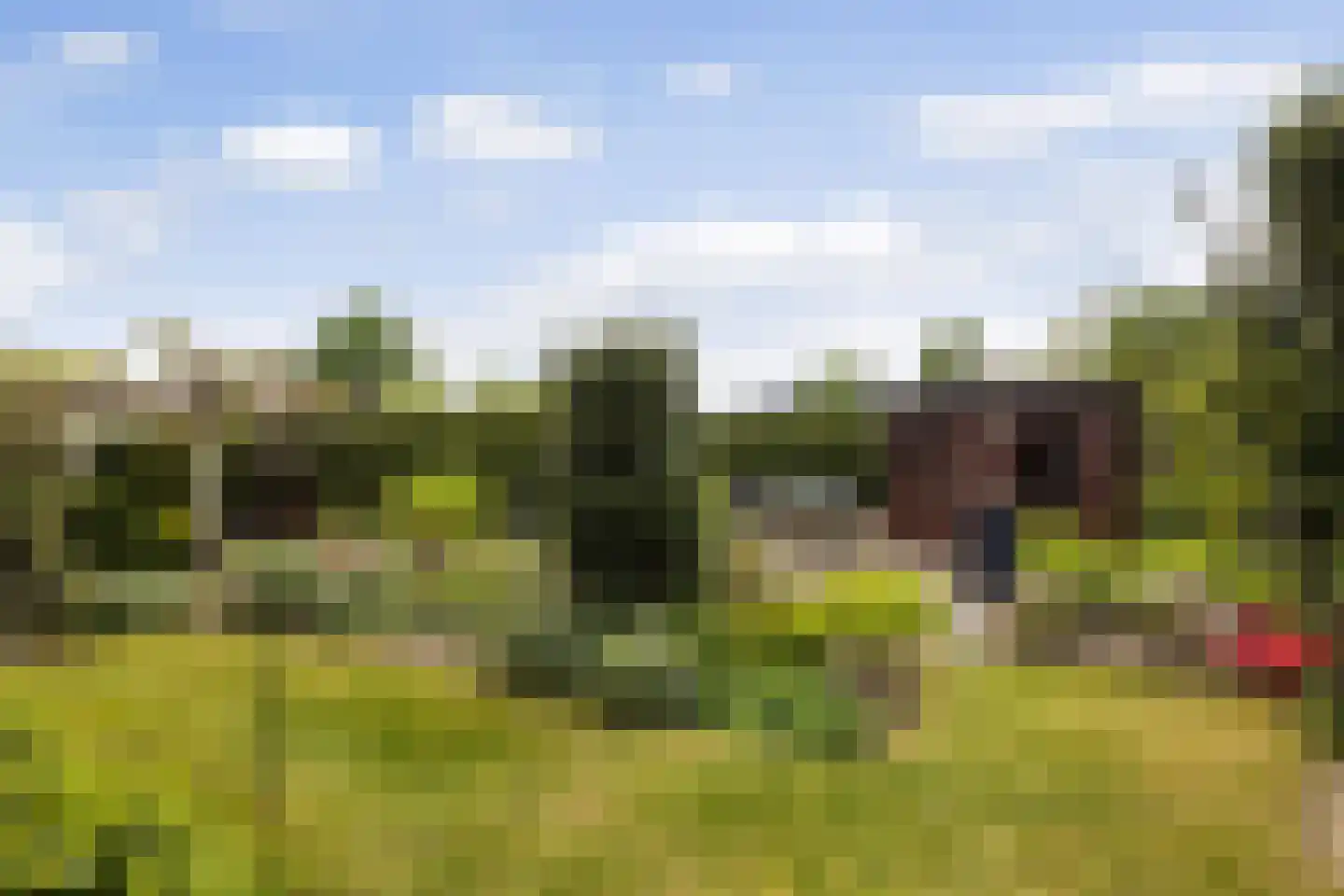 Old Ruitenborgh 20 Hengelo thumbnail 4