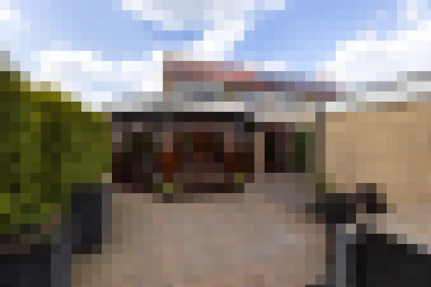 Old Ruitenborgh 20 Hengelo thumbnail 42