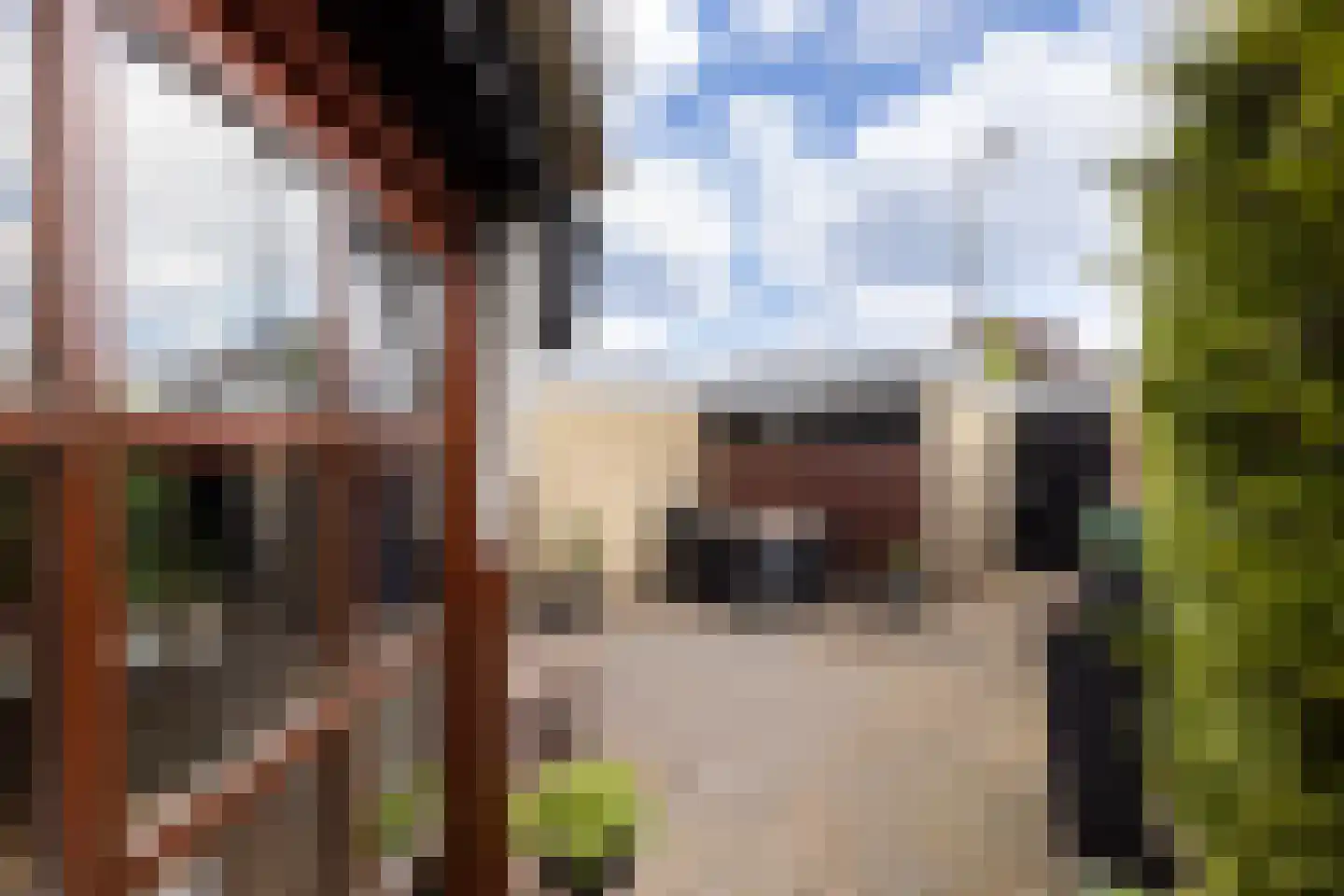 Old Ruitenborgh 20 Hengelo thumbnail 43
