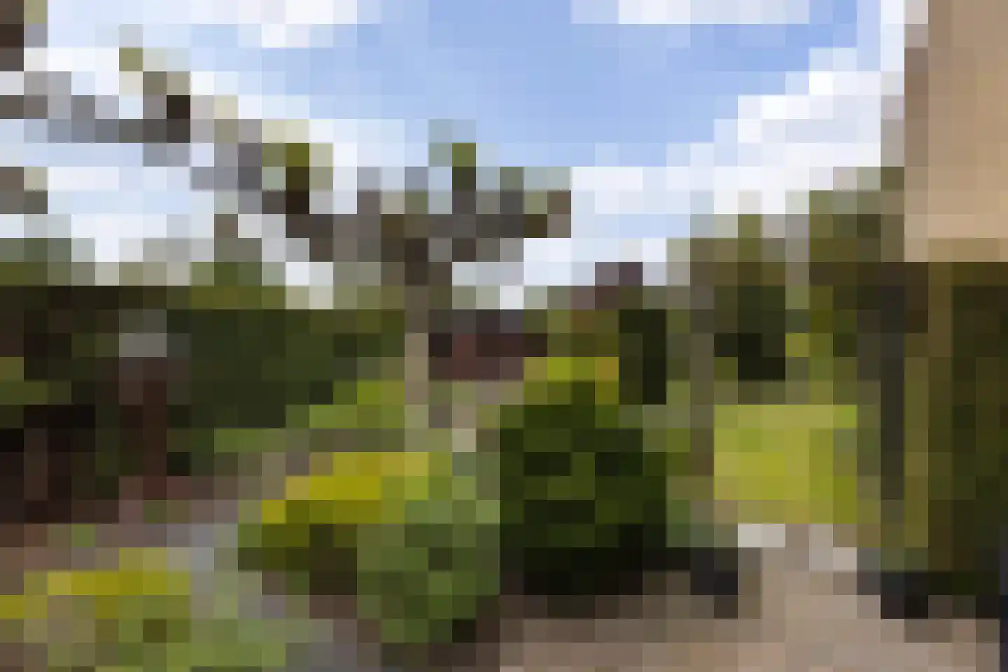 Old Ruitenborgh 20 Hengelo thumbnail 46