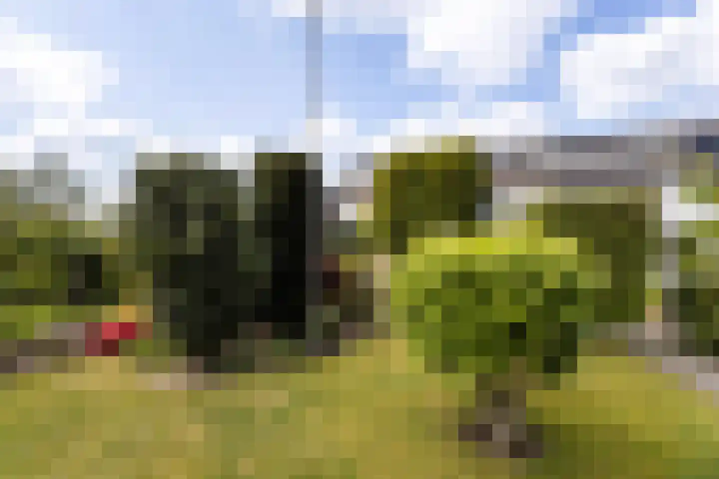 Old Ruitenborgh 20 Hengelo thumbnail 48