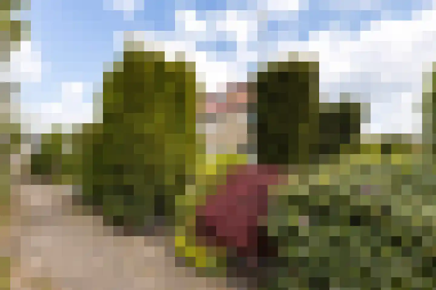 Old Ruitenborgh 20 Hengelo thumbnail 5