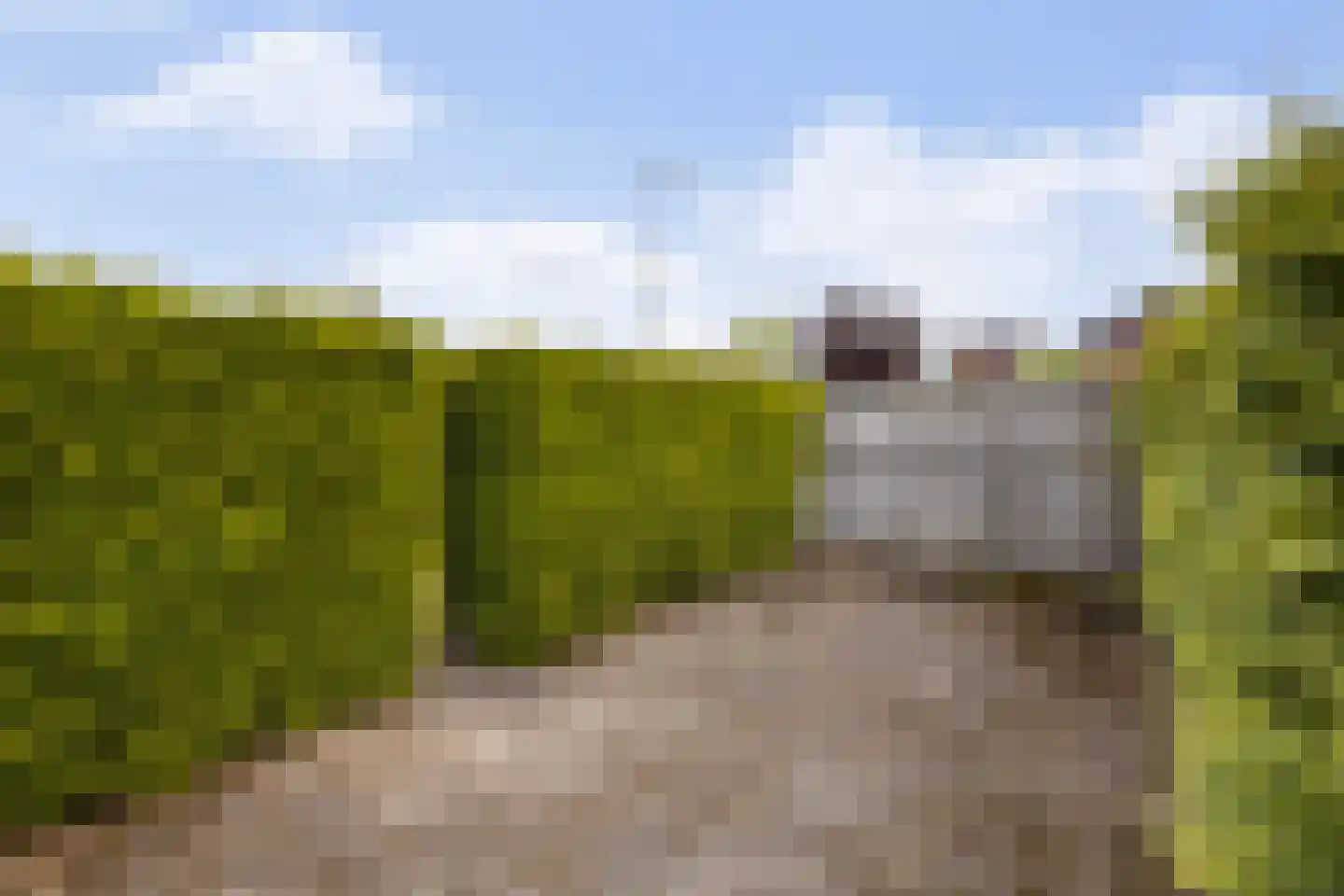 Old Ruitenborgh 20 Hengelo thumbnail 54