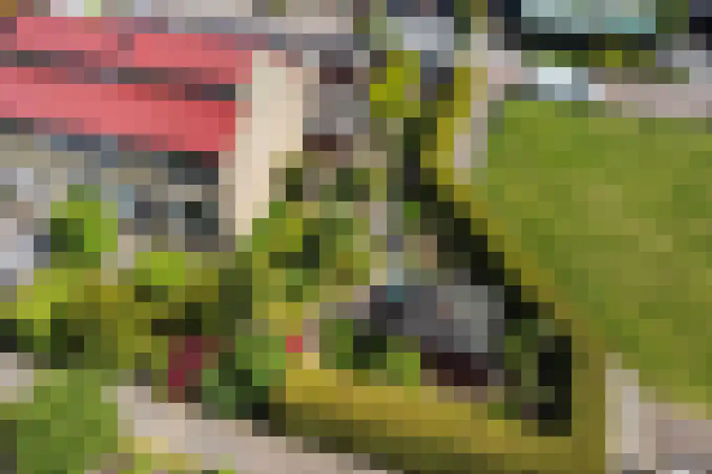 Old Ruitenborgh 20 Hengelo thumbnail 55