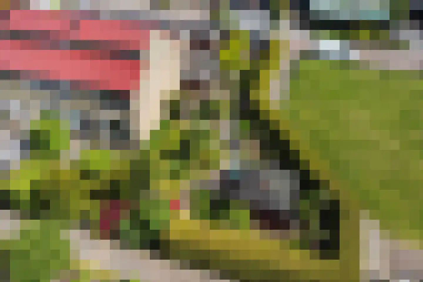 Old Ruitenborgh 20 Hengelo thumbnail 55