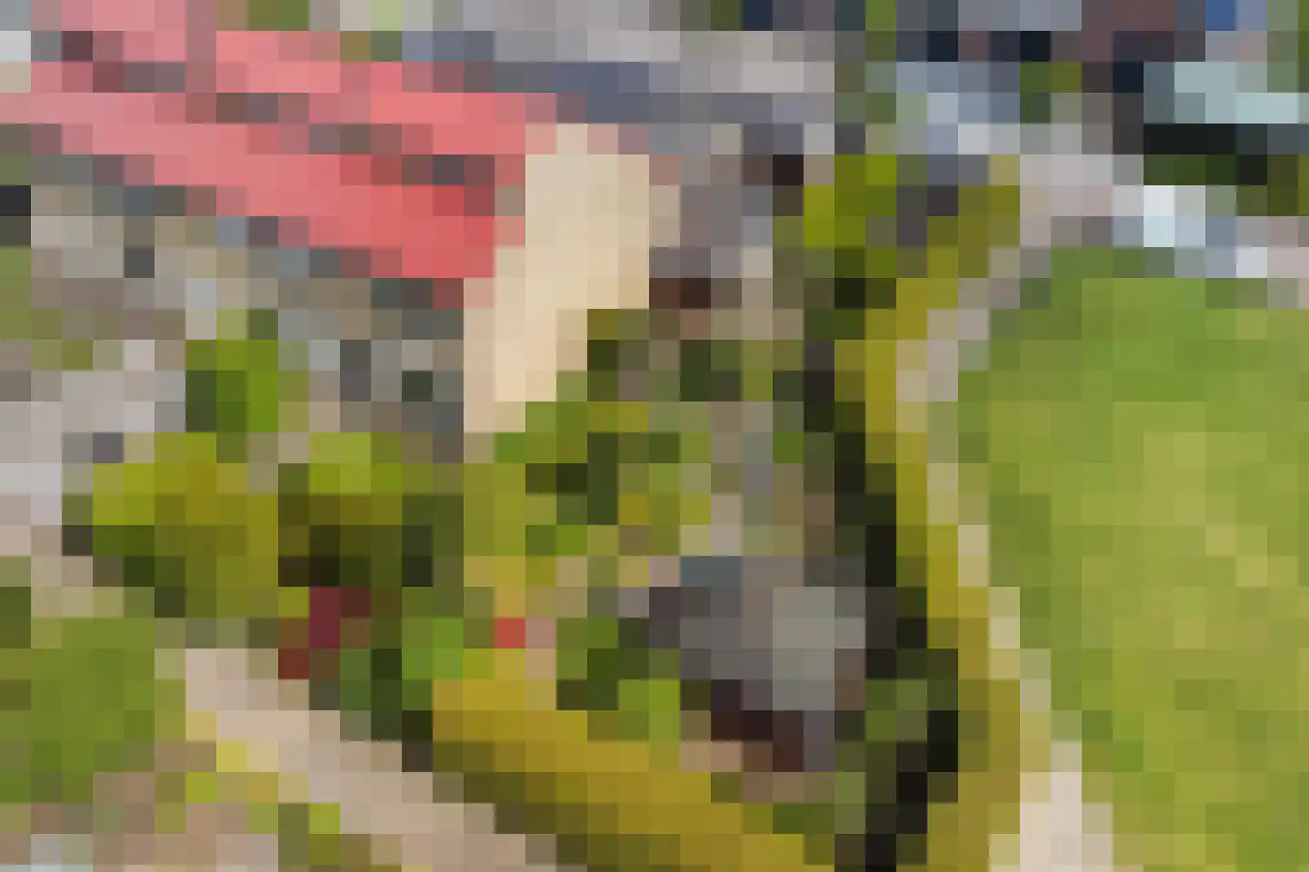 Old Ruitenborgh 20 Hengelo thumbnail 56