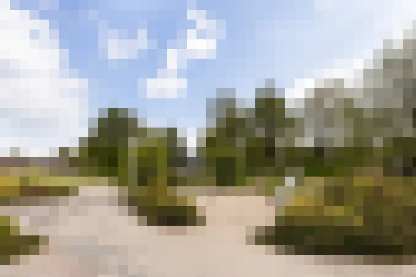 Old Ruitenborgh 20 Hengelo thumbnail 58