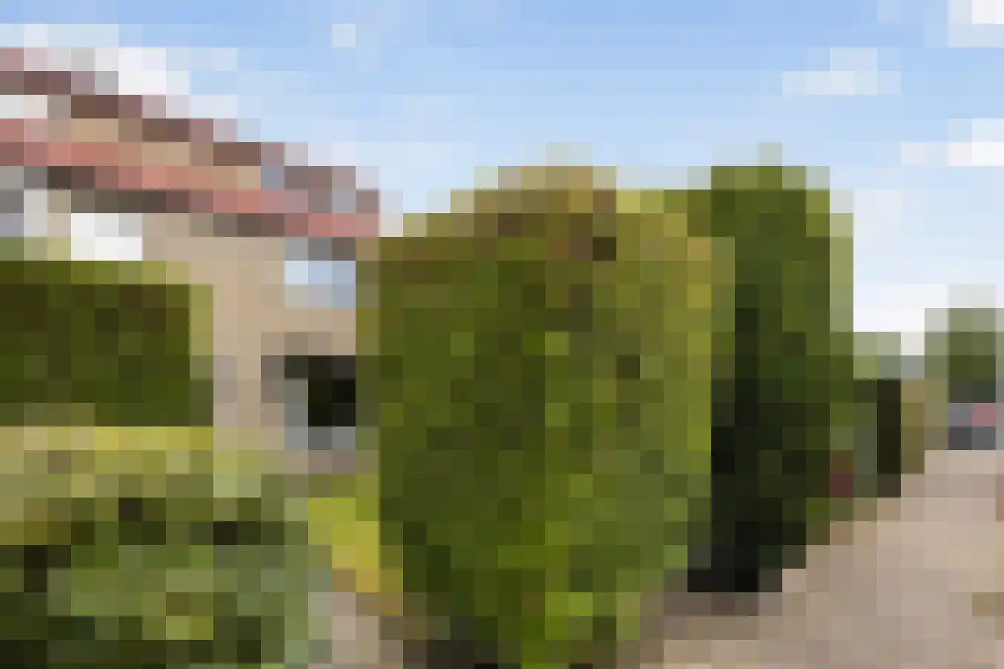 Old Ruitenborgh 20 Hengelo thumbnail 6