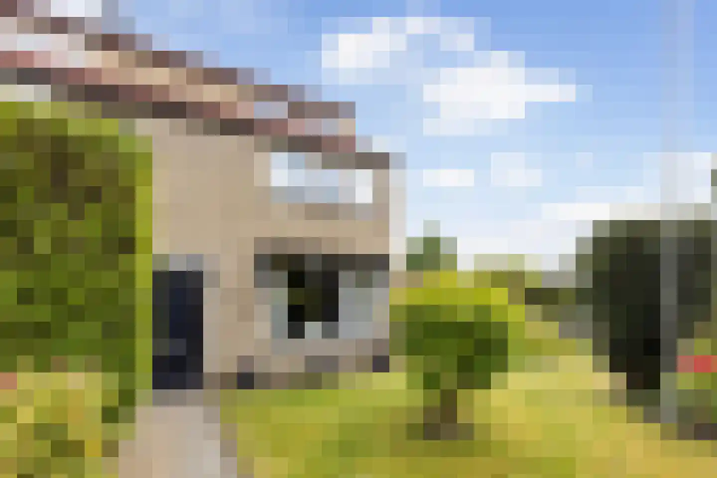 Old Ruitenborgh 20 Hengelo thumbnail 8
